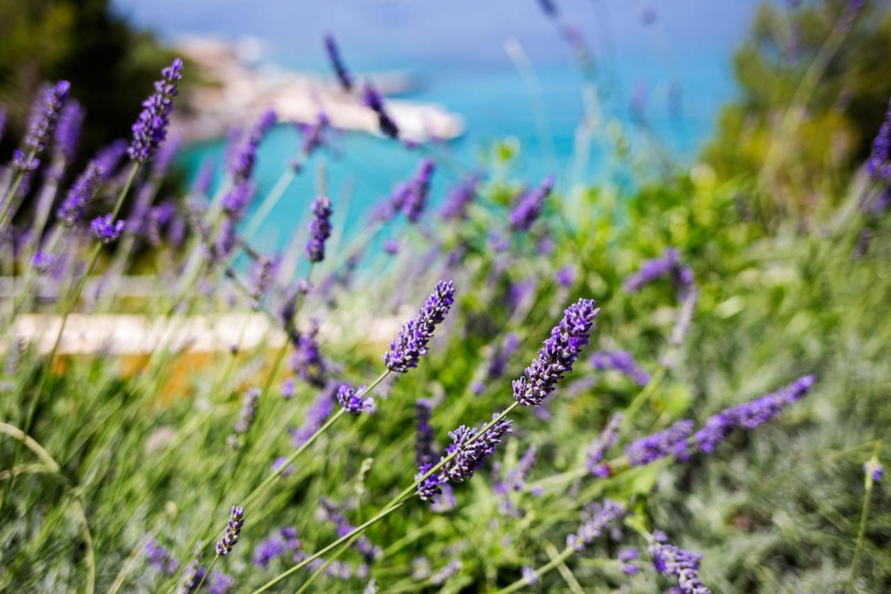 Blue Bay Residence Hvar Town Zewnętrze zdjęcie